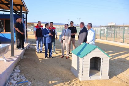 bayburtta-hayvan-bakim-evi-ve-dogal-yasam-alani-ile-hayvan-barinaginda-incelemeler-yapildi
