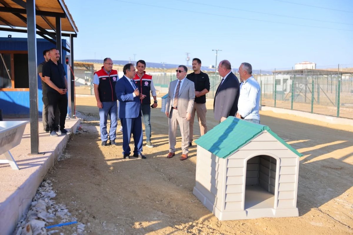 bayburtta-hayvan-bakim-evi-ve-dogal-yasam-alani-ile-hayvan-barinaginda-incelemeler-yapildi