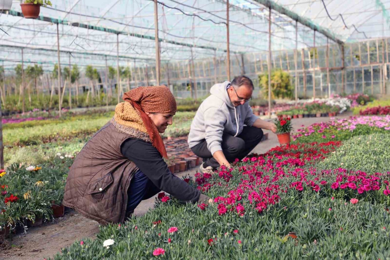 27-milyon-300-bin-adet-cicek-uretimi-gerceklestirildi