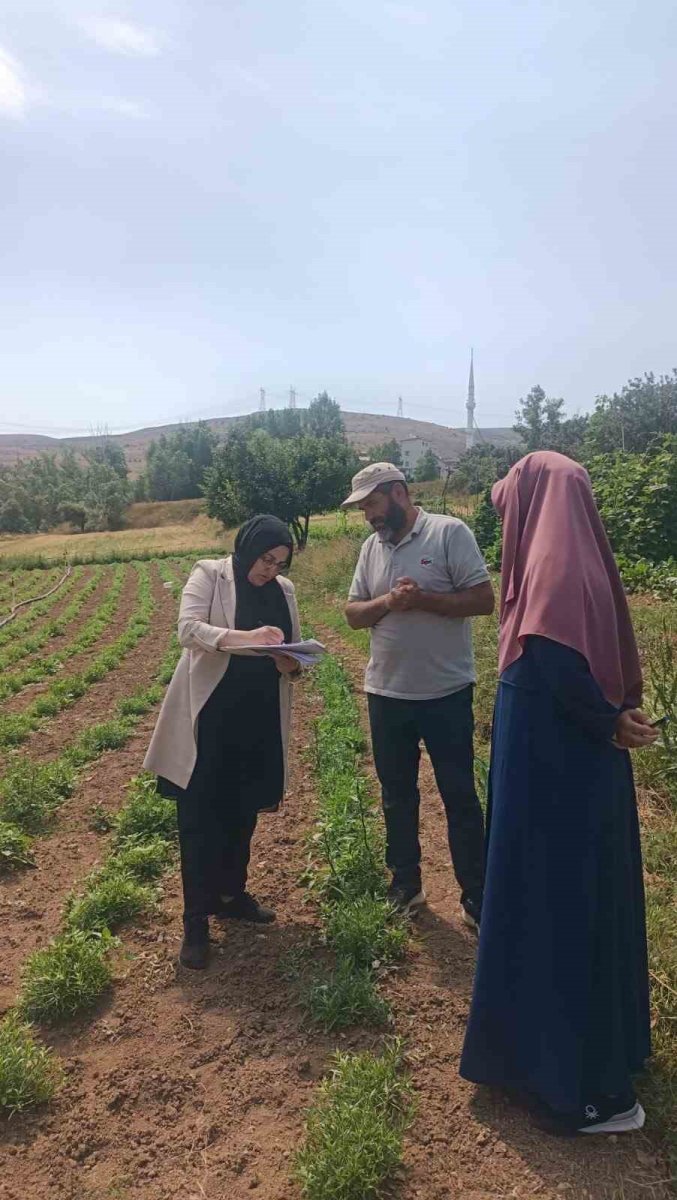 bayburt-tarhunu-cografi-isaret-tescilinin-ardindan-ilk-kez-denetlendi