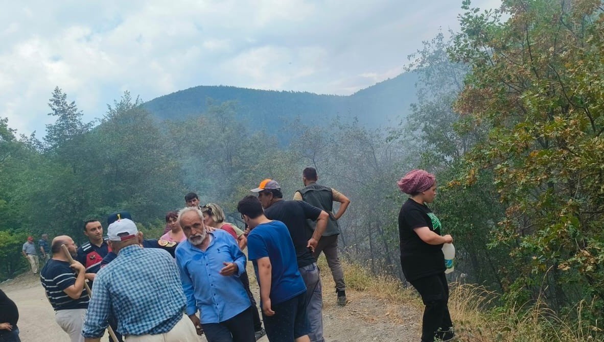 catalzeytinde-cikan-orman-yangini-kontrol-altina-alindi