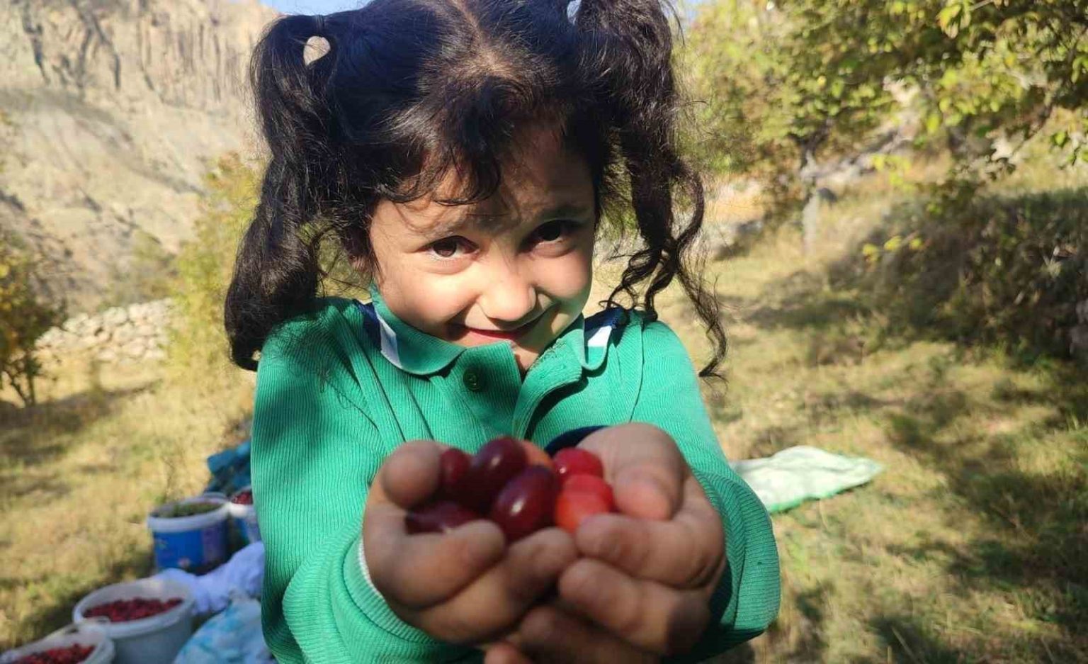 serbeti-cayi-meyvesi-oluyor-kalbi-koruyor-enfeksiyonu-dusuruyor