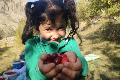serbeti-cayi-meyvesi-oluyor-kalbi-koruyor-enfeksiyonu-dusuruyor