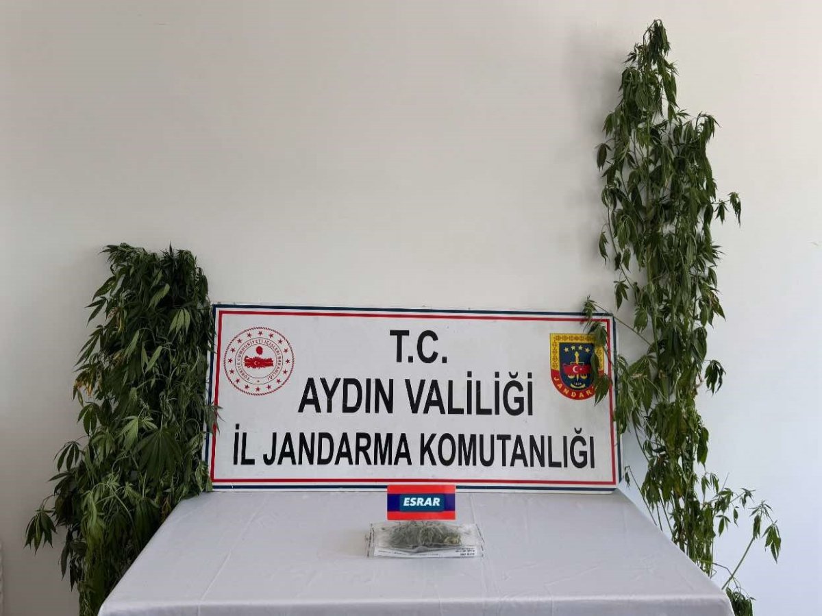 aydinda-uyusturucu-operasyonu-13-supheli-yakalandi