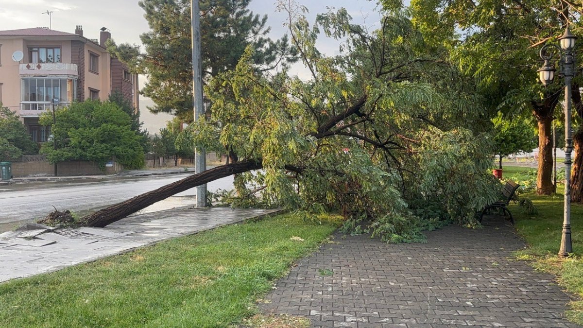 erzincanda-saganak-ve-firtina-hayati-felc-etti
