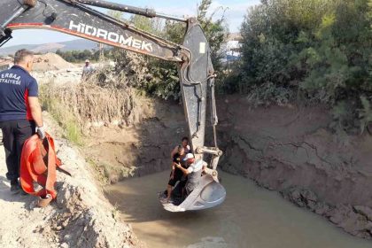 golete-dusen-inekler-kepce-ile-kurtarildi