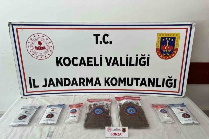 kocaelide-114-adet-sentetik-ecza-ele-gecirildi-2-tutuklama