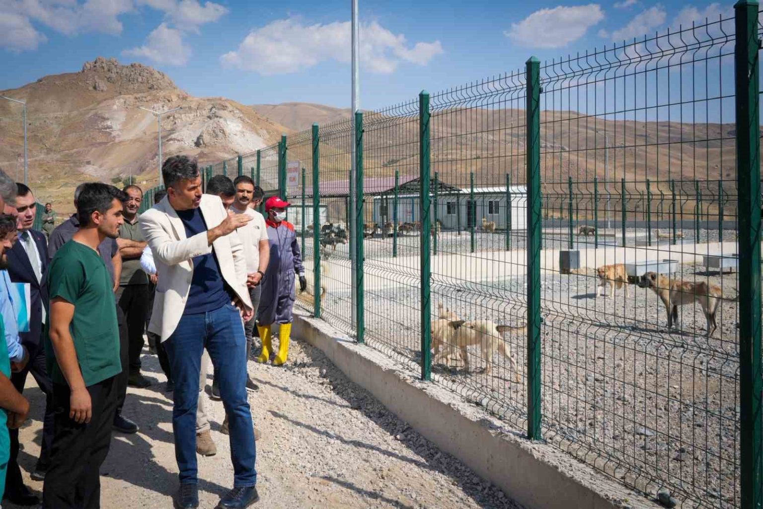 vali-celik-sokak-hayvanlari-icin-guvenli-saglikli-yasam-alanlari-olusturuyoruz