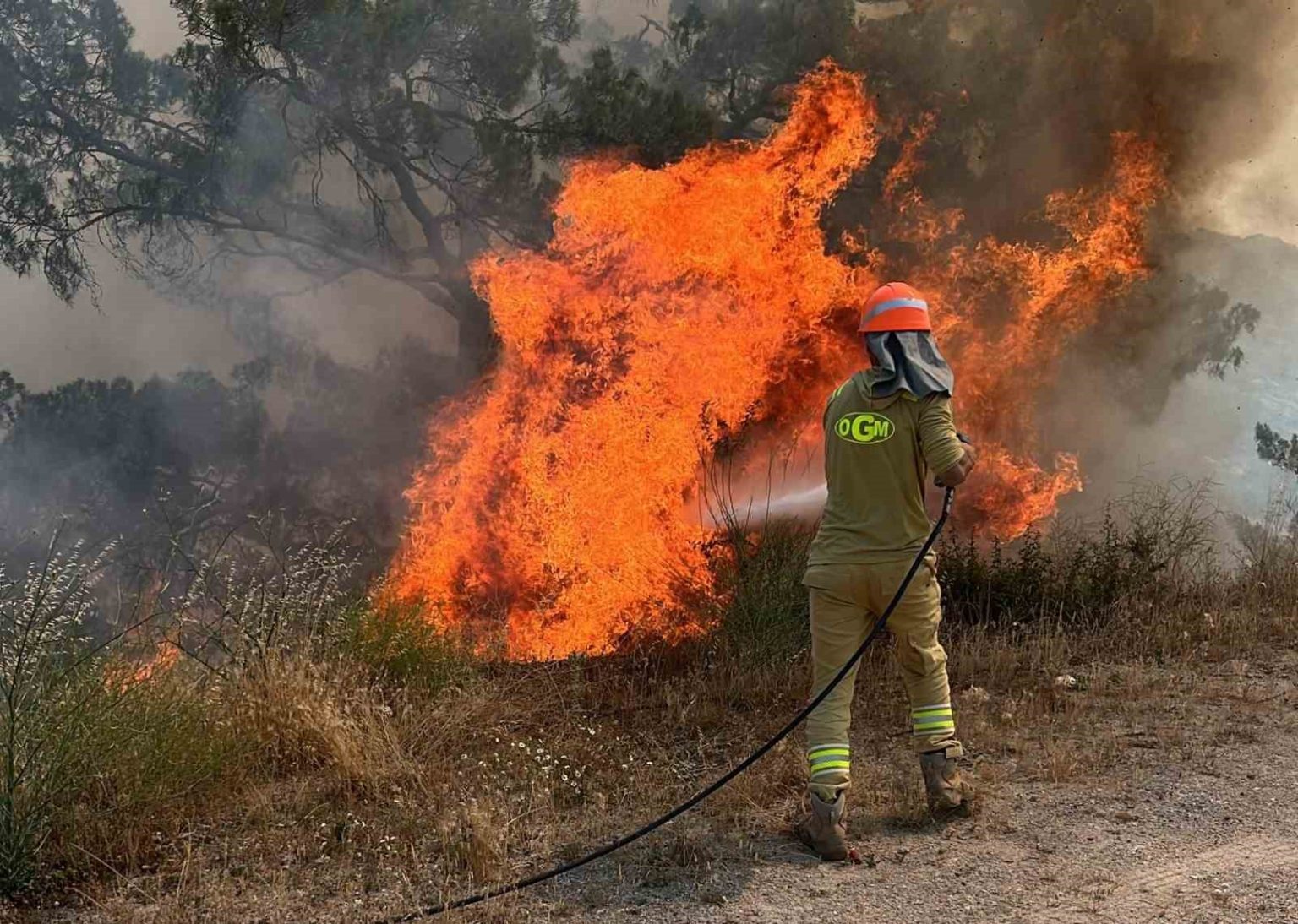 aydinda-ormanlar-icin-kirmizi-alarm