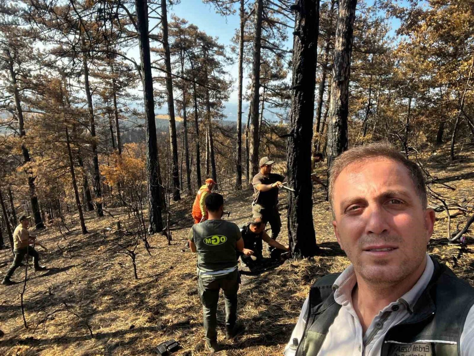 sakaryada-yanan-ormanlik-alanlar-tekrar-haya-donuyor
