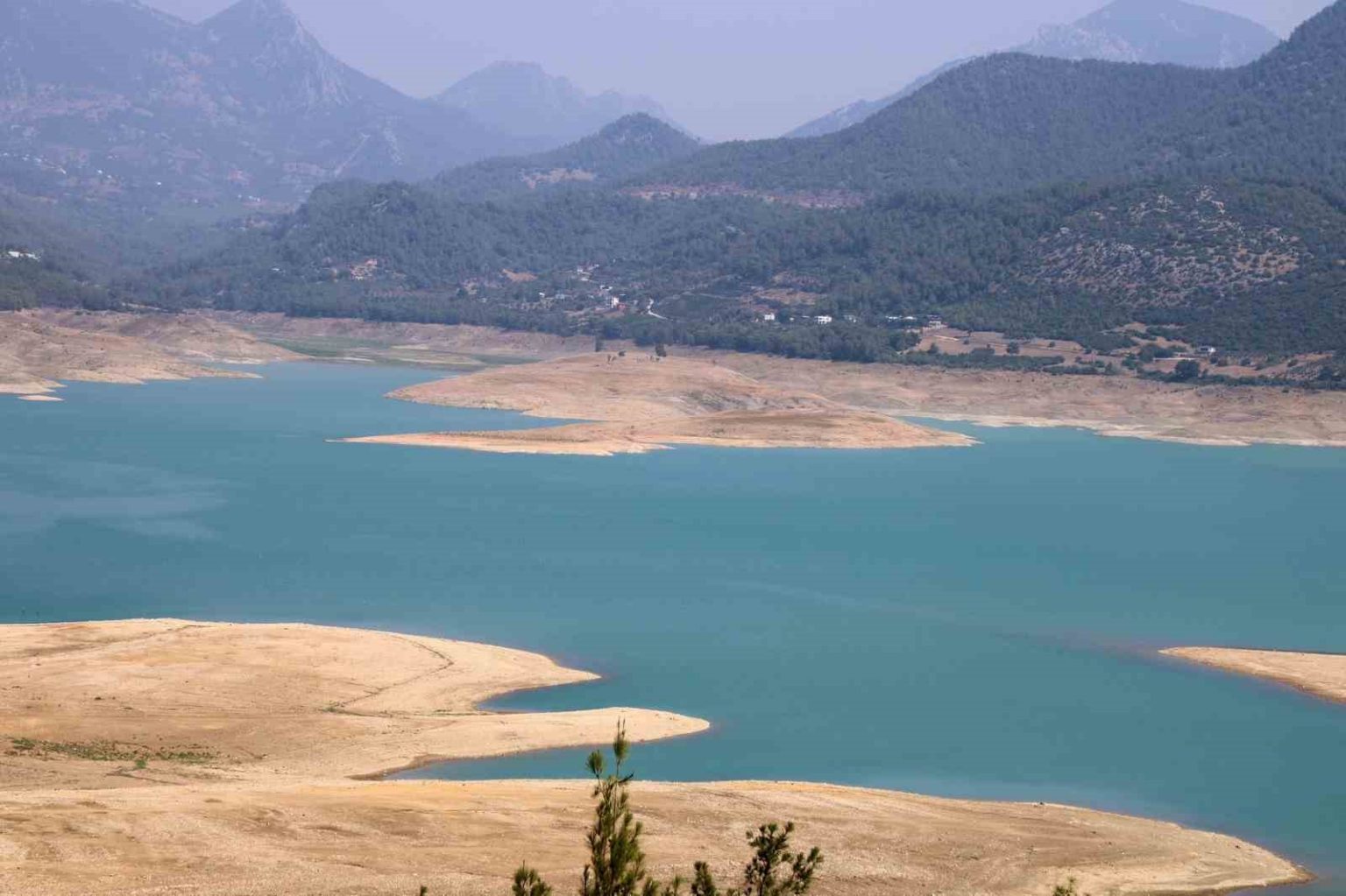 kuraklik-narenciye-bahcelerini-tehdit-etmeye-basladi