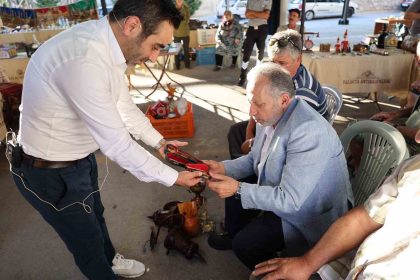 antikacilar-talasta-toplandi