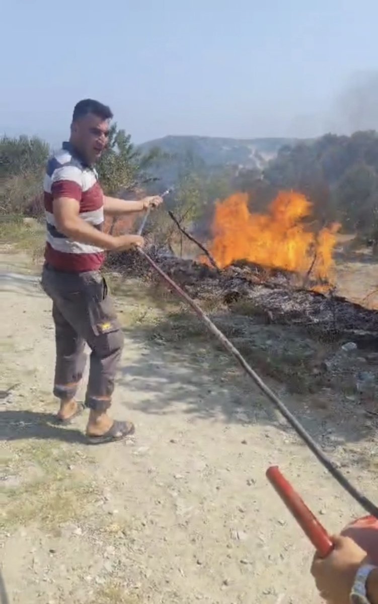 hatayda-sicaktan-kopan-elektrik-teli-yangina-neden-oldu