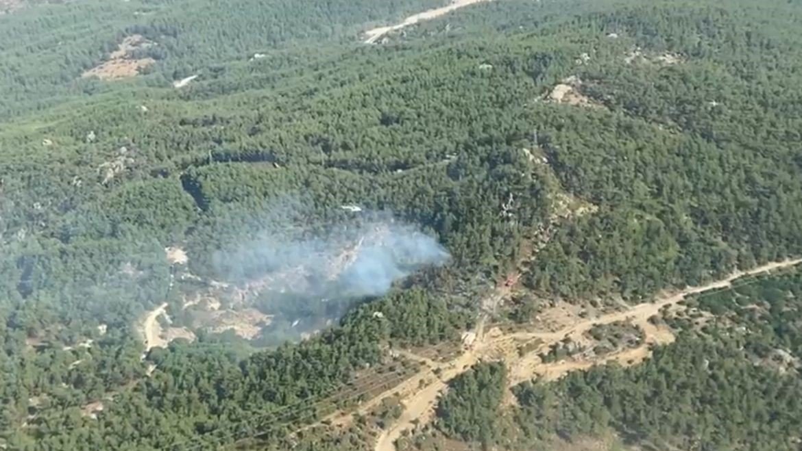 mugla-milasta-ormanlik-alanda-yangin