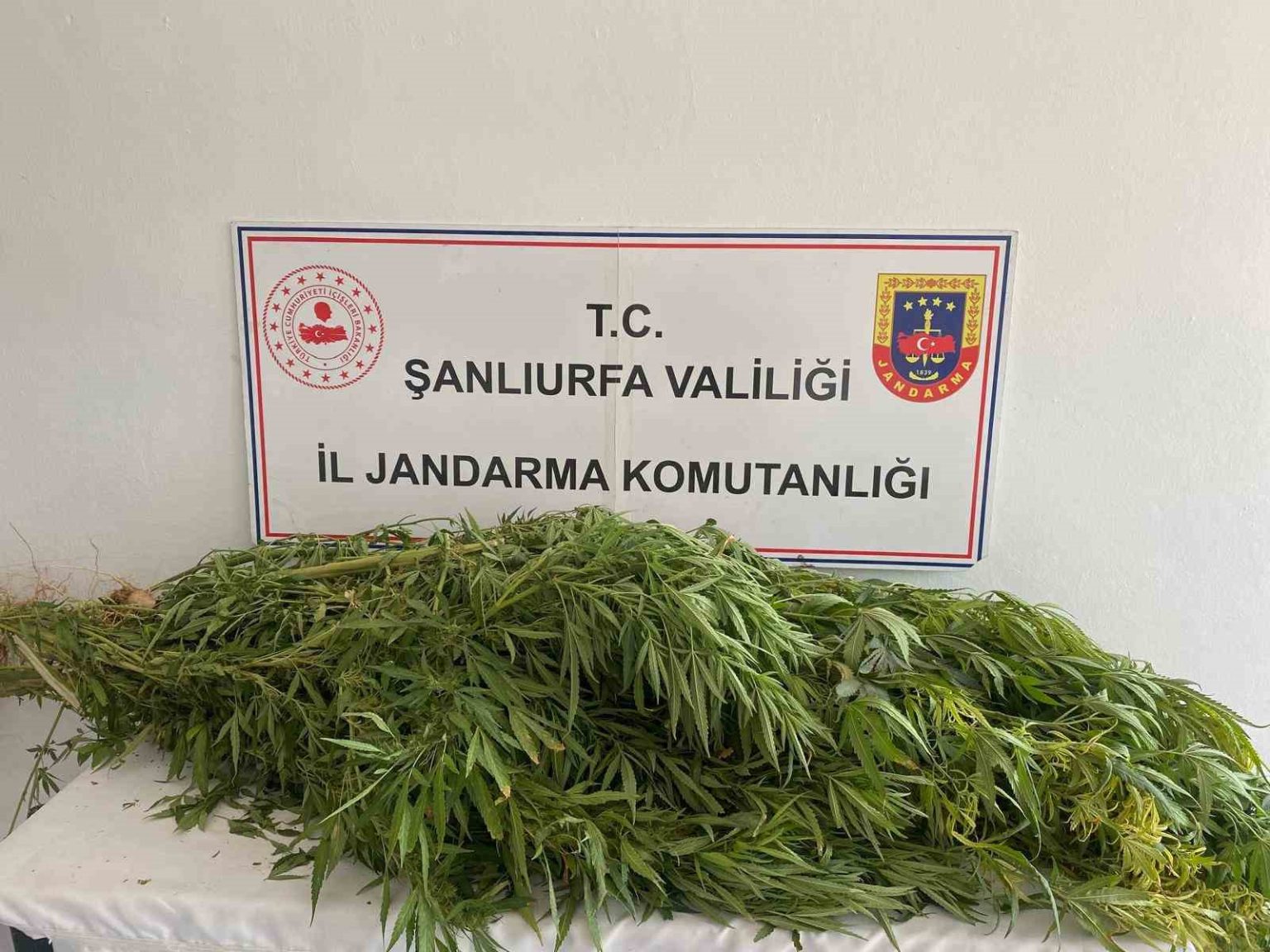 sanliurfada-uyusturucu-operasyonu-2-gozalti
