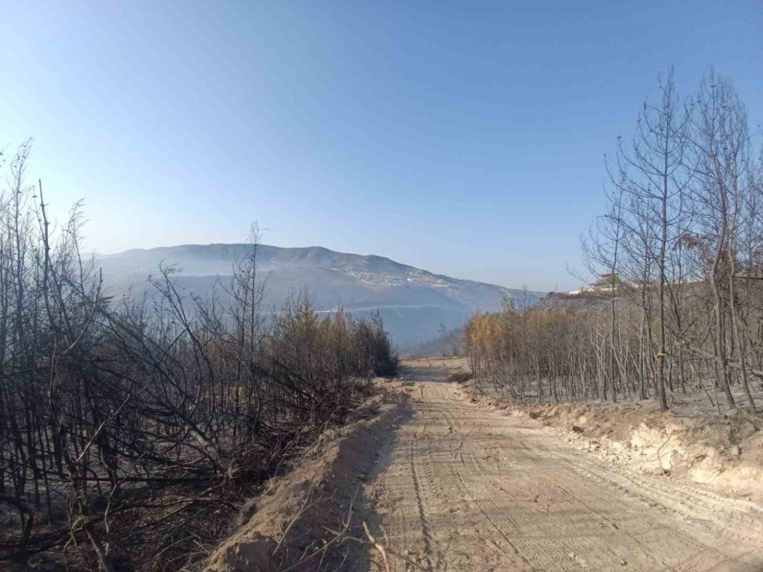 hatayda-orman-yangini-kontrol-altina-alindi