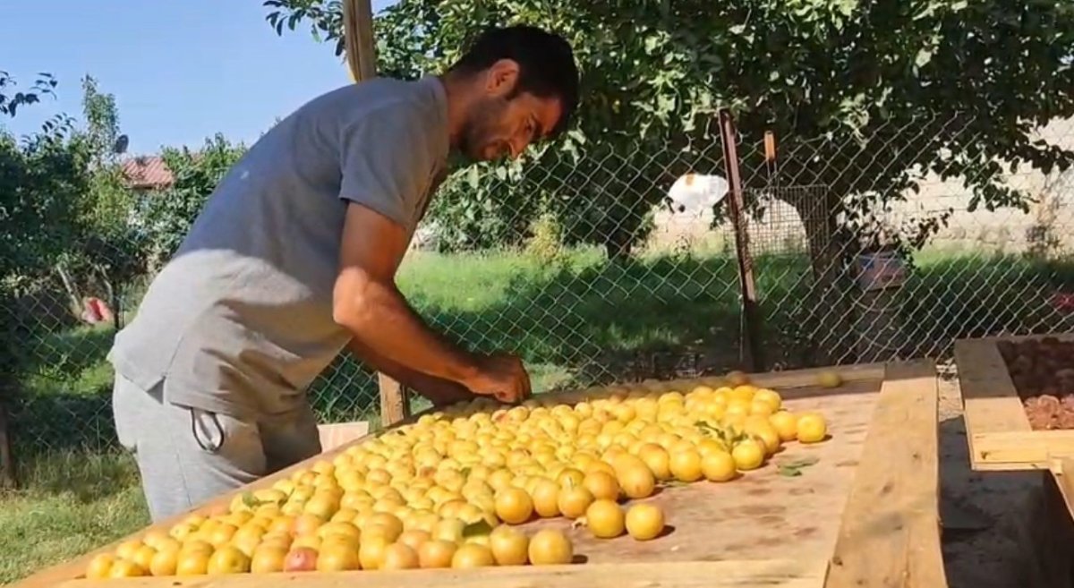 igdirda-guneste-kurutulan-meyveler-pazarda-satiliyor