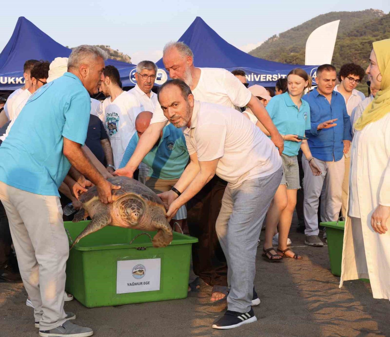 tedavi-edilen-caretta-carettalarin-mavi-yolculugu-ilk-kez-yerli-uydu-ile-izlenecek