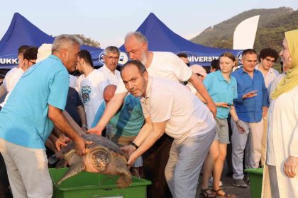 tedavi-edilen-caretta-carettalarin-mavi-yolculugu-ilk-kez-yerli-uydu-ile-izlenecek