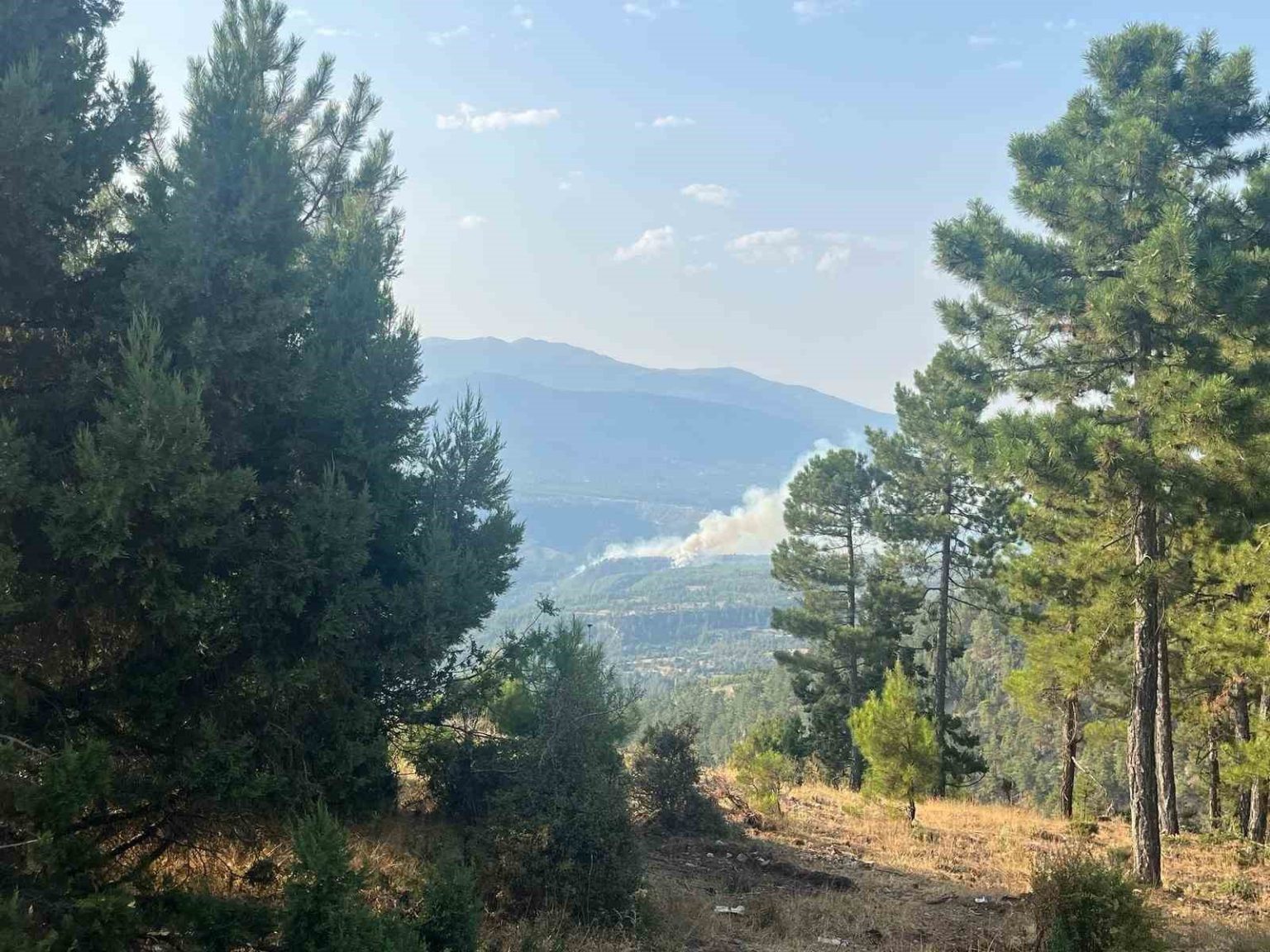 denizlide-orman-yangini