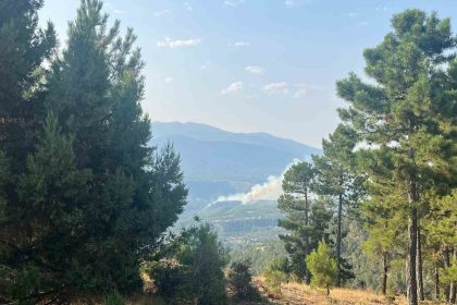 denizlide-sarp-bolgede-devam-eden-yangina-mudahale-ediliyor