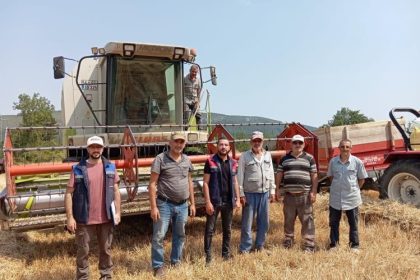 golpazarinda-hasat-kontrolleri-tum-hiziyla-suruyor