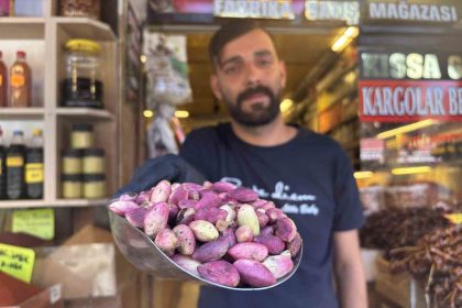 yeni-mahsul-antep-fistigi-tezgaha-indi