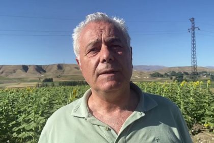 doguda-aycicegi-ve-misir-uretimi-artiyor