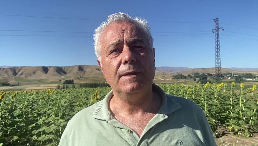 doguda-aycicegi-ve-misir-uretimi-artiyor