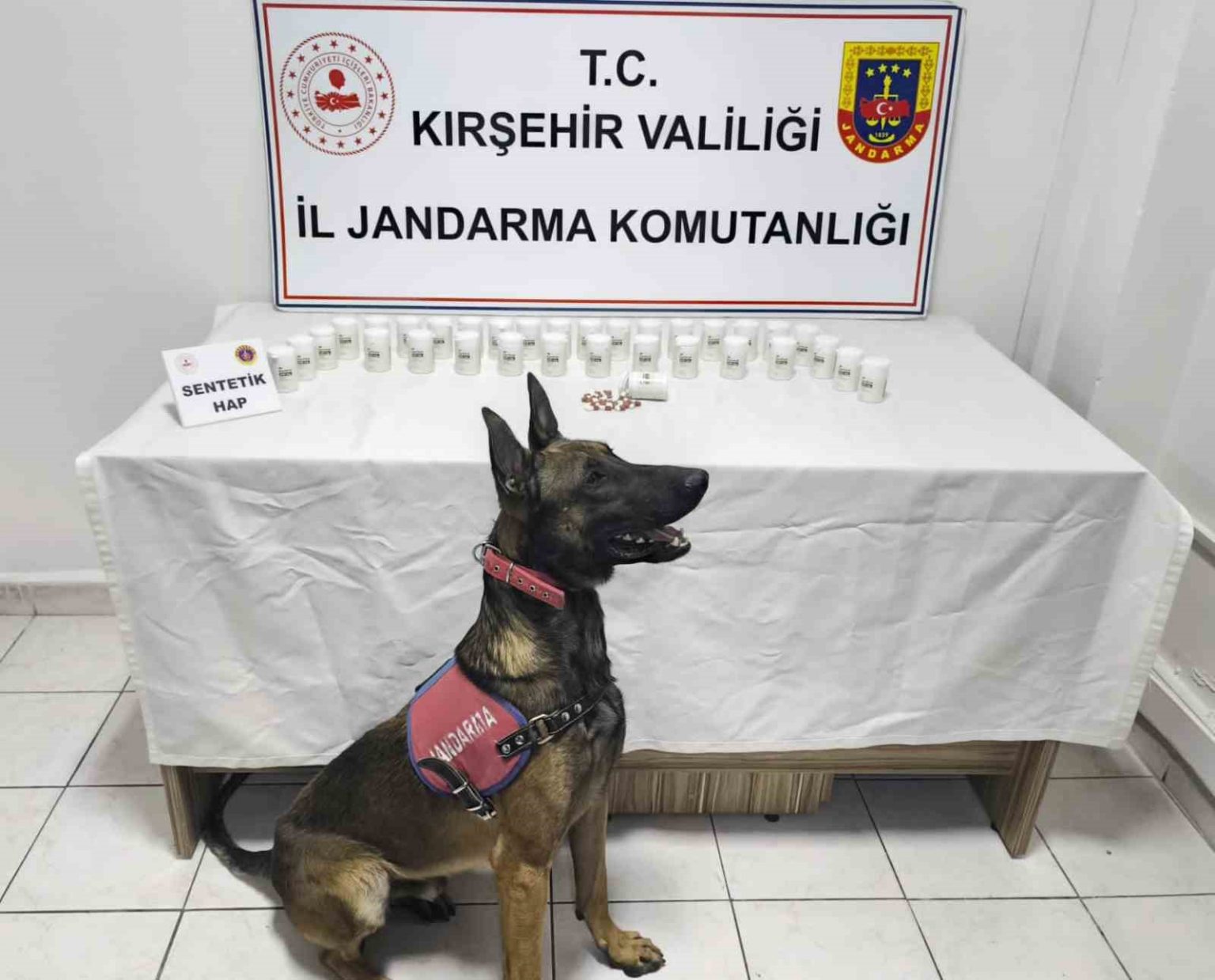 kirsehirde-bin-823-sentetik-hap-ele-gecirildi-2-gozalti