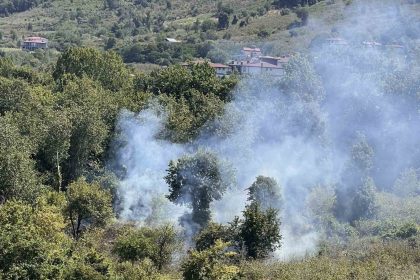 orduda-bahce-temizligi-yangina-yol-acti