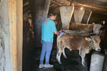 agrida-sat-1-asilama-calismalari-araliksiz-suruyor