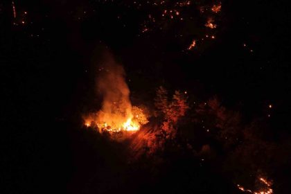 canakkalede-gece-saatlerinde-cikan-orman-yangini-kontrol-altina-alindi