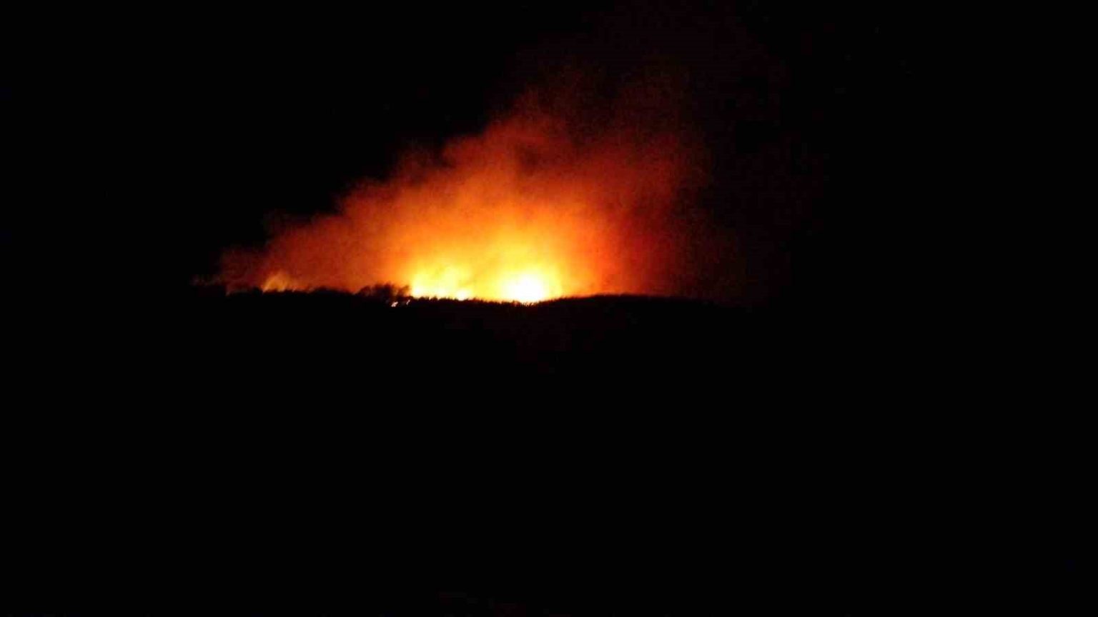 canakkalede-orman-yangini
