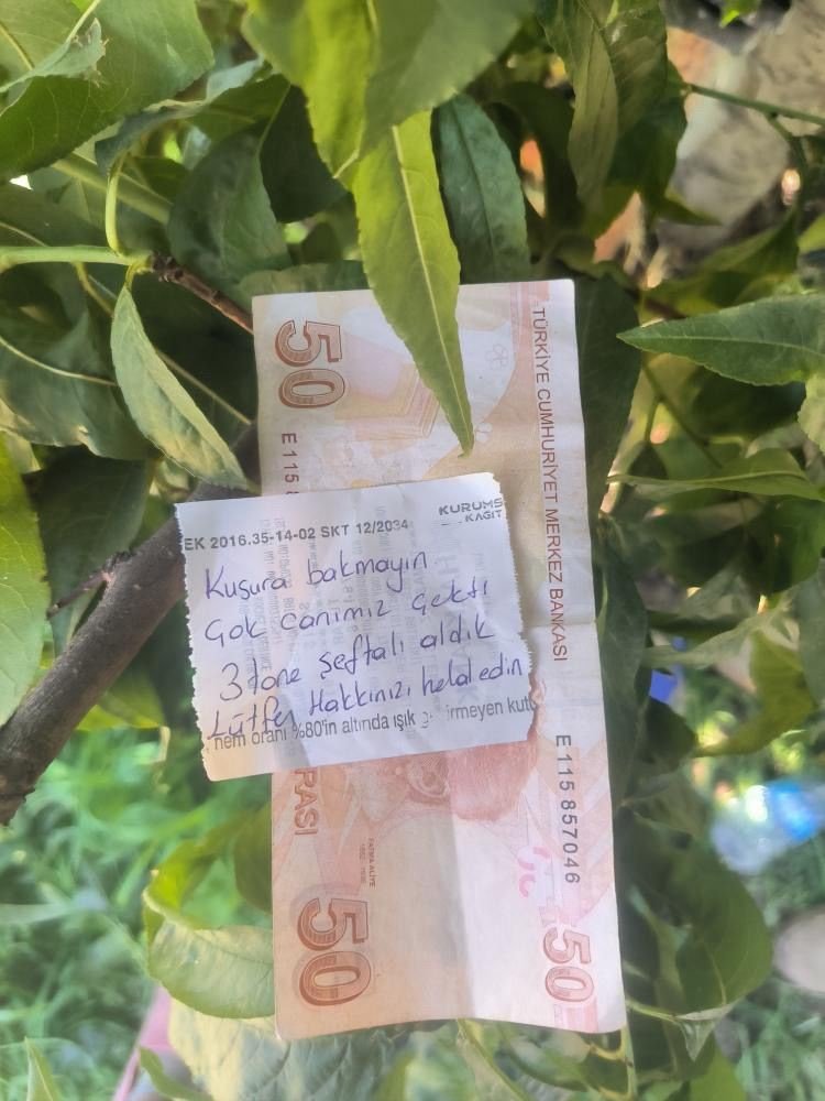 insanlik-olmemis-dedirten-hareket