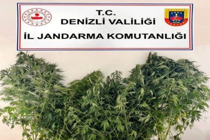 jandarmanin-uyusturucu-operasyonunda-24-kok-kenevir-25-kilo-esrar-ele-gecirildi