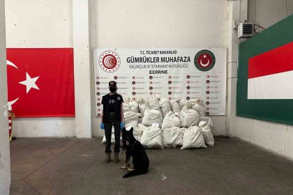 kapikulede-245-kilo-esrar-ele-gecirildi-2-gozalti