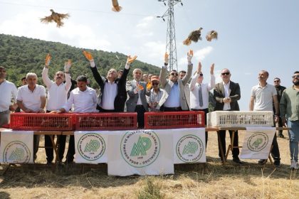 kutahyada-300-keklik-dogaya-salindi