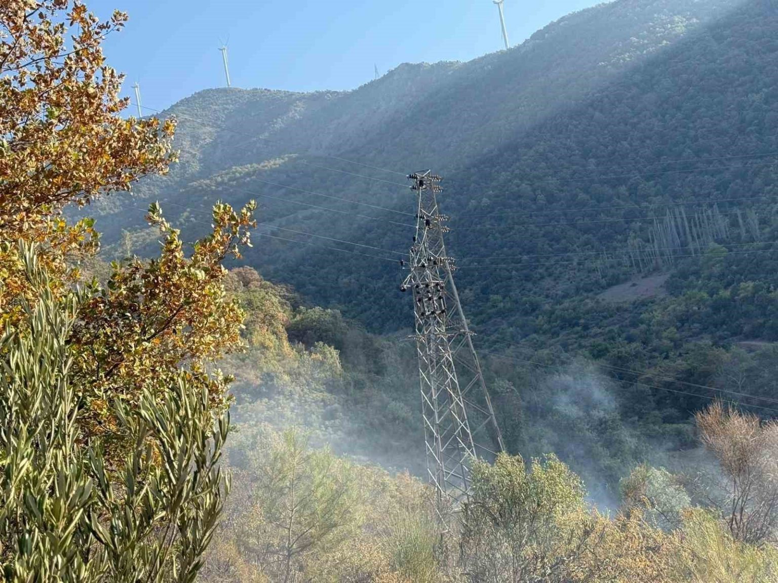 osmaniyede-orman-yangini