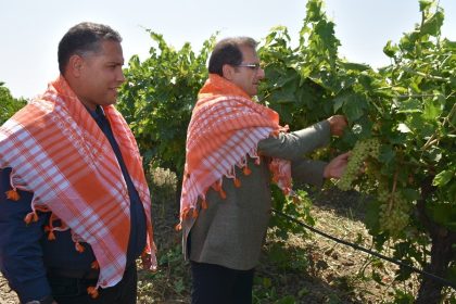 salihli-kaymakami-guldogan-uzum-hasadi-yapti