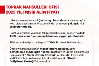 toprak-mahsulleri-ofisi-2025-yili-misir-alim-fiyatlari-belirlendi