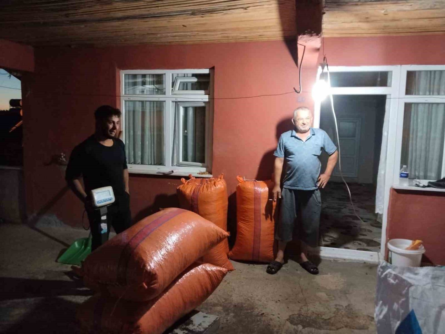 alaplida-hasat-edilen-findiklar-satisa-cikti