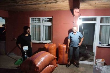 alaplida-hasat-edilen-findiklar-satisa-cikti