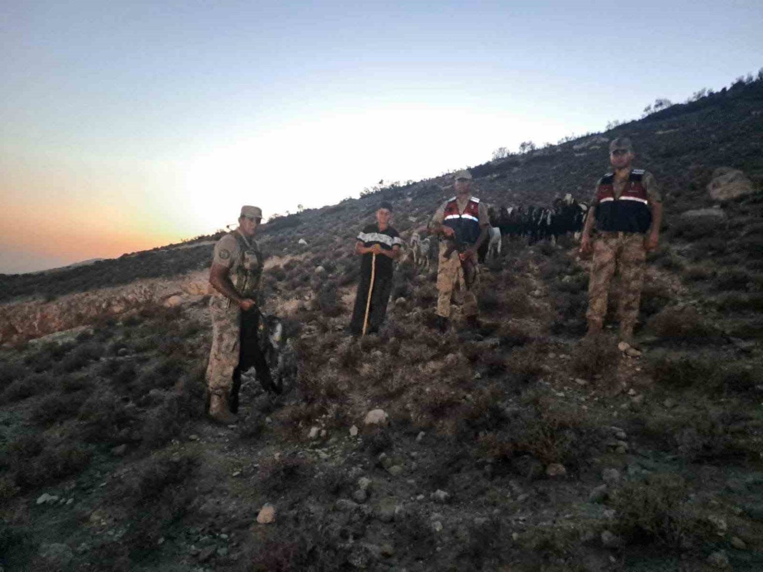 kiliste-kaybolan-26-kucukbas-hayvan-bulundu
