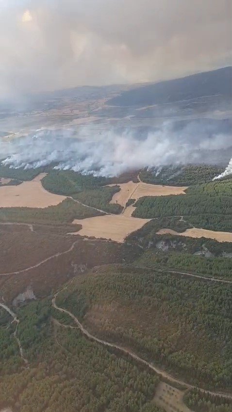 canakkalede-devam-eden-orman-yanginina-havadan-ve-karadan-yogun-mudahale-devam-ediyor