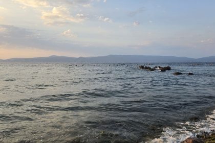 boguldugu-sanilan-dalgic-yuzerek-cikti