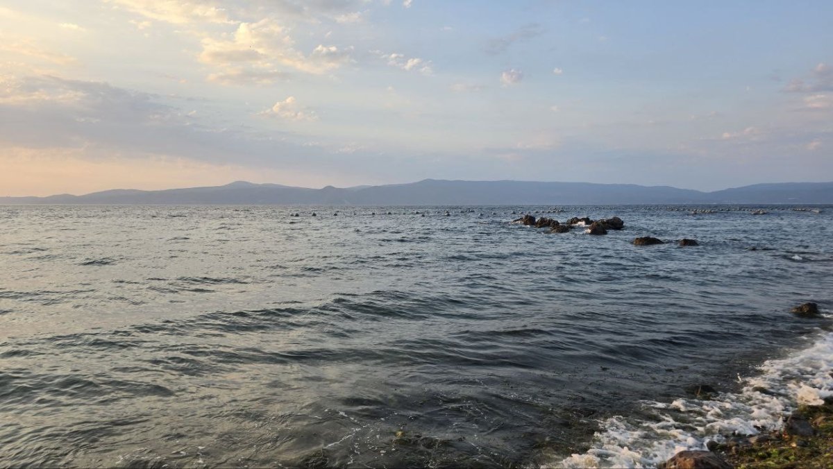 boguldugu-sanilan-dalgic-yuzerek-cikti