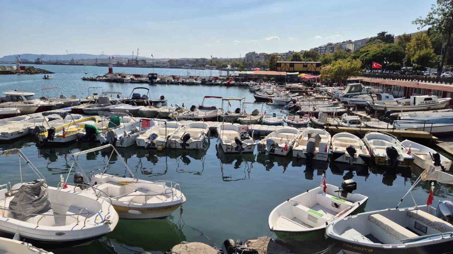 limanda-tatli-telase-balikcilar-lufer-ve-palamuttan-umutlu
