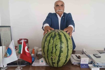 batmanda-45-kiloluk-karpuz-dikkat-cekti