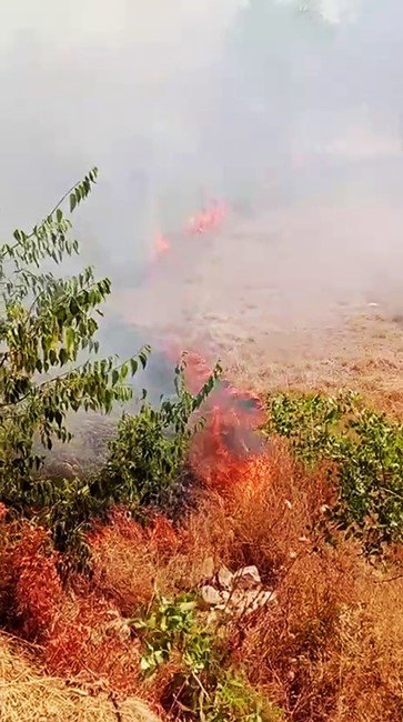 karabukte-ot-yangini-buyumeden-sonduruldu